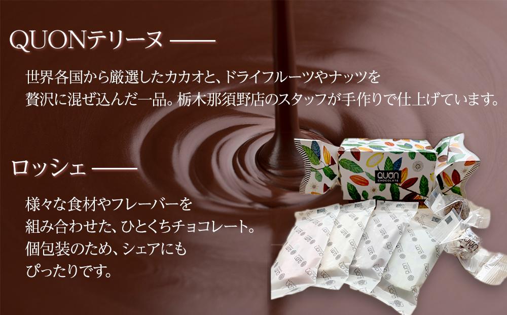 久遠チョコレート　栃木那須野店 テリーヌ４枚・ロッシェ２粒セット ｜ チョコレート 洋菓子 ショコラ 詰め合わせ セット 厳選 スイーツ QUON