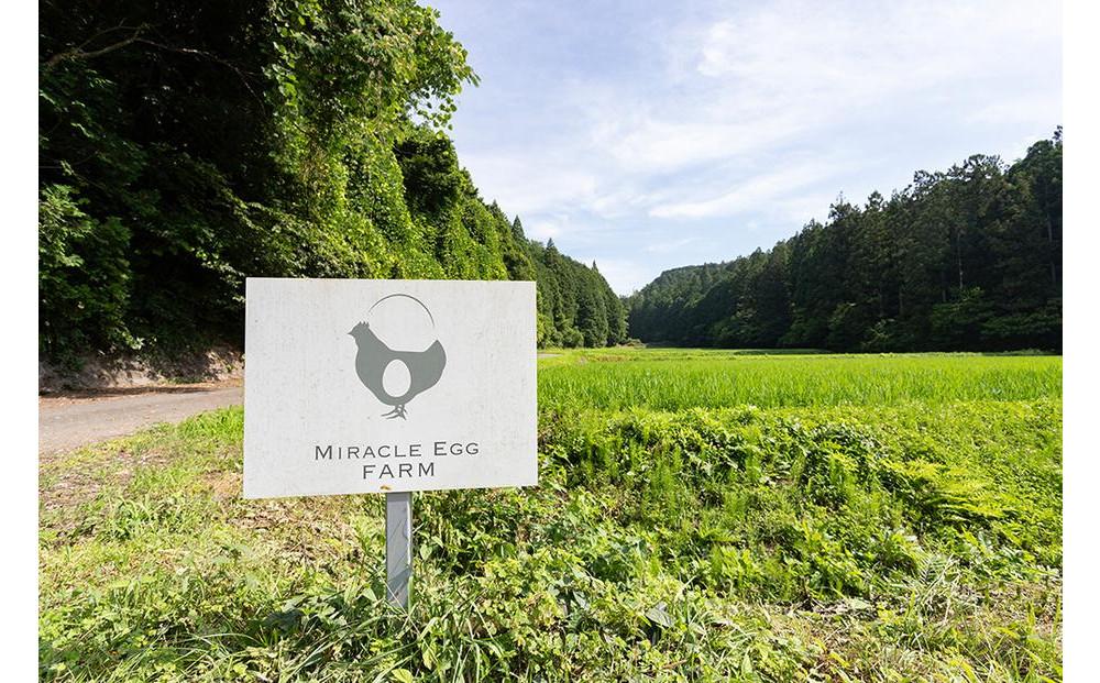 厳選 希少ブランド卵  頂＜itadaki＞ 20個入り | 高級卵 こわだり 限定 玉子 卵 生卵 たまご 卵かけご飯