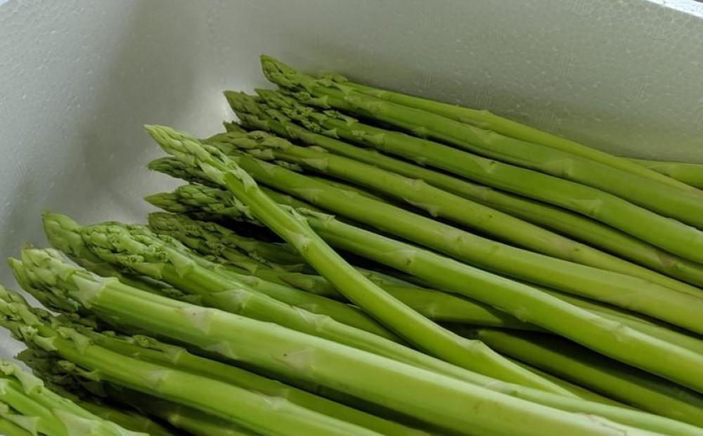 【先行予約】 天空のアスパラガス 「Luxury」1ｋｇ 【２０２６年４～５月頃発送】