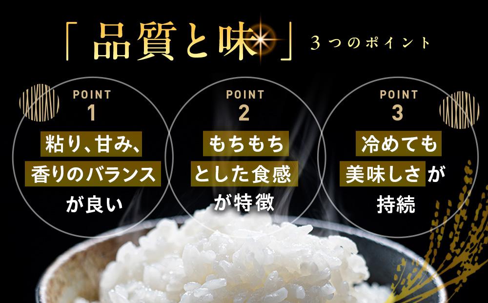 地元産 両郷米 10Kg ×1袋 ｜  お米 コシヒカリ こしひかり 栃木県 大田原市