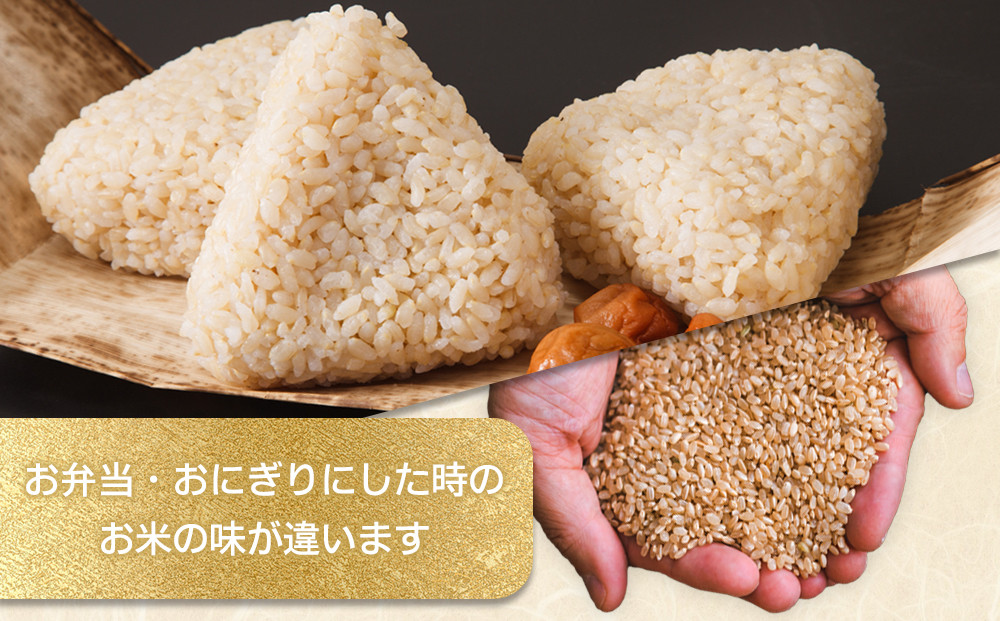 【令和7年産米 数量限定】古谷農産の無農薬・無化学肥料で栽培したコシヒカリ（玄米2キロ） ｜米 コメ  2kgコシヒカリ こしひかり 農家直送 産地直送 産直