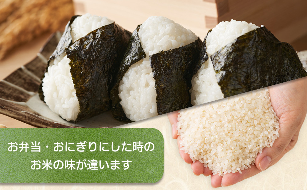 【令和7年産米】古谷農産の無農薬・無化学肥料で栽培したコシヒカリ（精米5キロ） ｜米 コメ  白米 5kg コシヒカリ こしひかり 農家直送 産地直送 産直