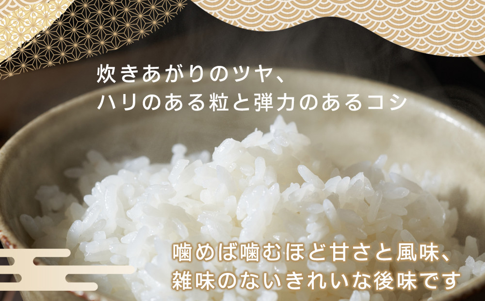 【令和7年産  】ツキノワのコシヒカリ 精米 5kg ｜お米 白米 ご飯 コメ 栃木県 大田原市