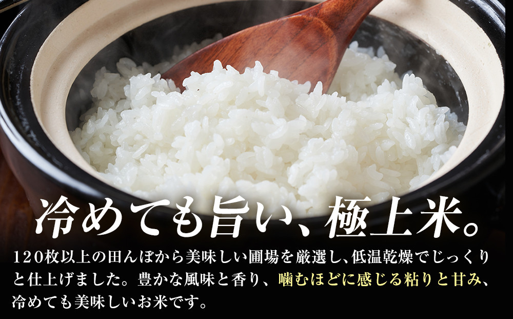 【先行予約受付】≪10月上旬発送≫令和８年産 大田原市 藤田farmのコシヒカリ 【無洗米】 5kg ｜栃木県産 米 お米  コメ こしひかり コシヒカリ 栃木県 【選べる容量】5kg 10kg  数量限定