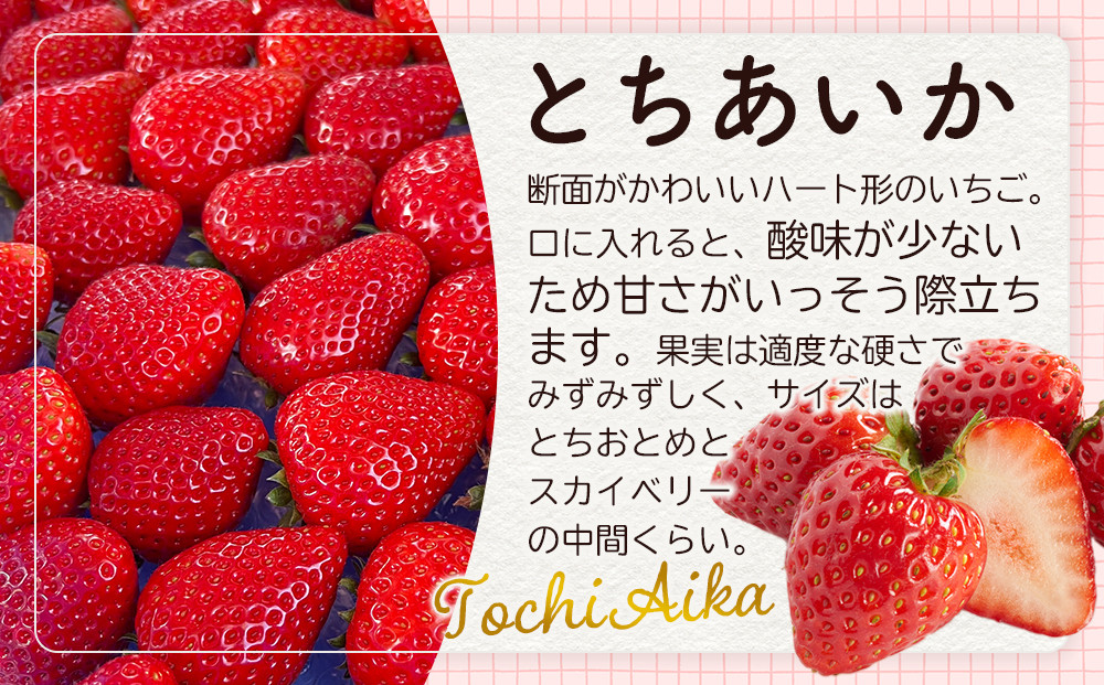 【先行予約受付】≪2027年1月発送≫【数量限定】黒箱 厳選4種の完熟いちご1箱セット ｜果物 いちご 朝取り 新鮮 ハート フルーツ デザート ストロベリー デザート スイーツ 苺 イチゴ 大田原市 栃木県