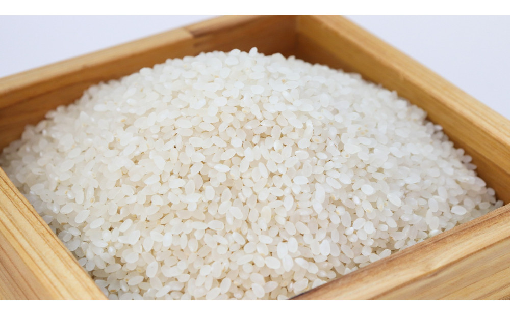 【令和７年産】大田原産コシヒカリ　精米５ｋｇ