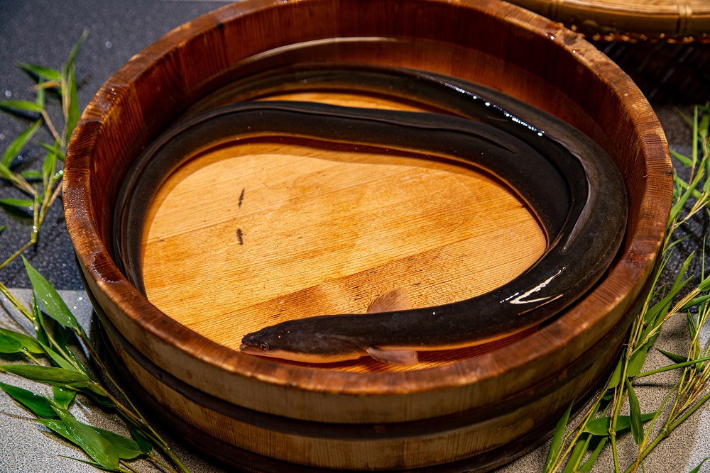 日本料理志ぶ家の うなぎ蒲焼き （タレ付き）