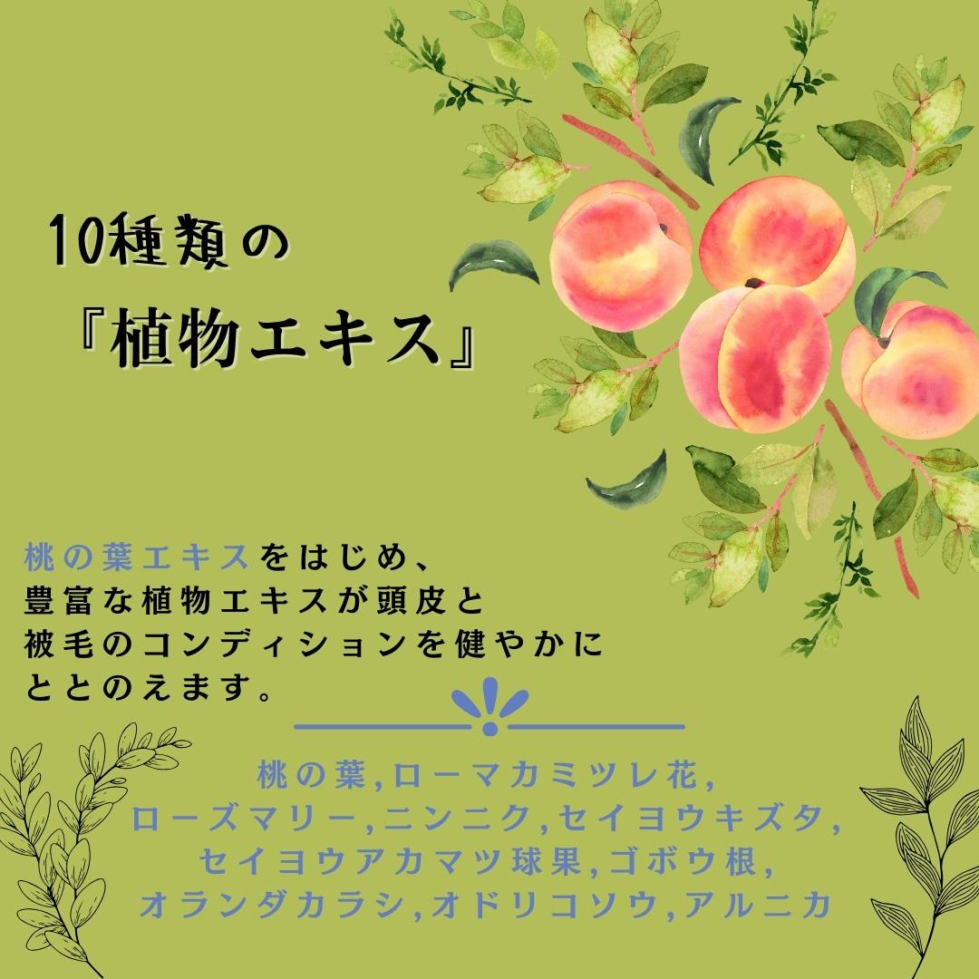 ドッグシャンプー(プルメリアの香り) 桃の葉エキス配合fairy-land　250ml×1本