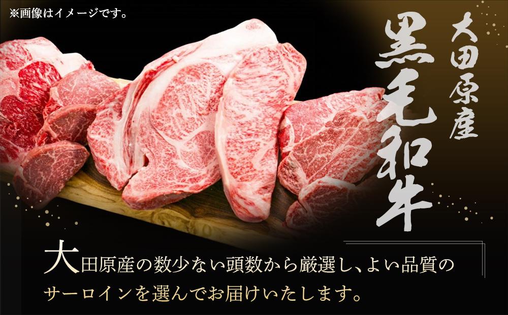 大田原産 黒毛和牛 サーロイン ステーキ　約300g×2枚