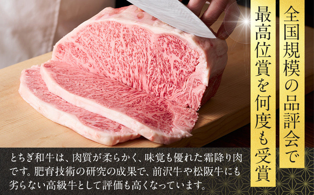 とちぎ和牛入り ハンバーグセット ｜ 牛肉 和牛  肉 ブランド牛 合挽 ハンバーグ 栃木県共通返礼品