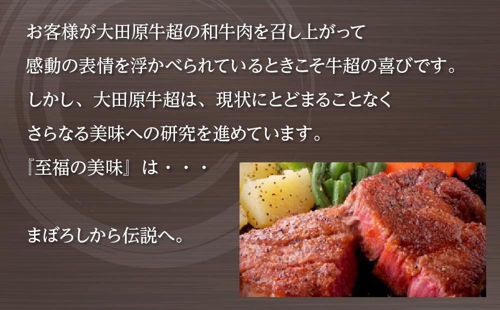 大田原牛 100％ 黒カレー 4パックセット | レトルト カレー 和牛  牛肉 ビーフカレー 高級