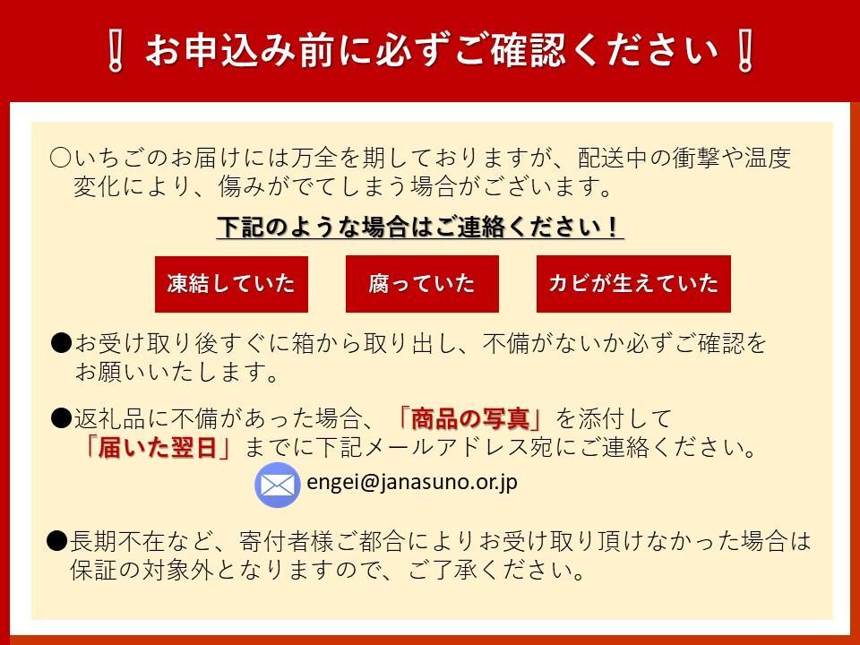 【数量限定】ＪＡなすの産地直送 ５４年連続収穫量全国１位　いちご王国とちぎ　大田原市産とちあいか　1箱（270ｇ×4パック） 【Ｌサイズ以上厳選出荷】