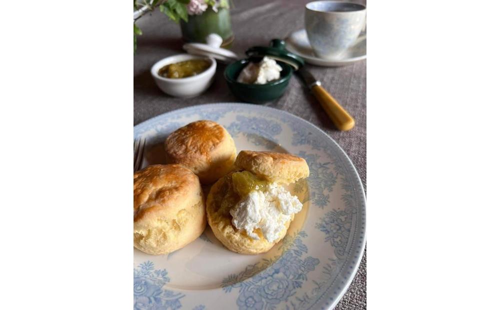 大田原チーズセット チーズ 詰め合わせ セット おつまみ フレッシュチーズ 料理