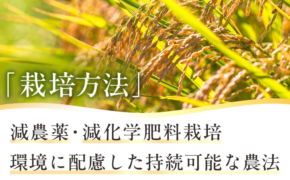 地元産 両郷米 10Kg ×1袋 ｜  お米 コシヒカリ こしひかり 栃木県 大田原市