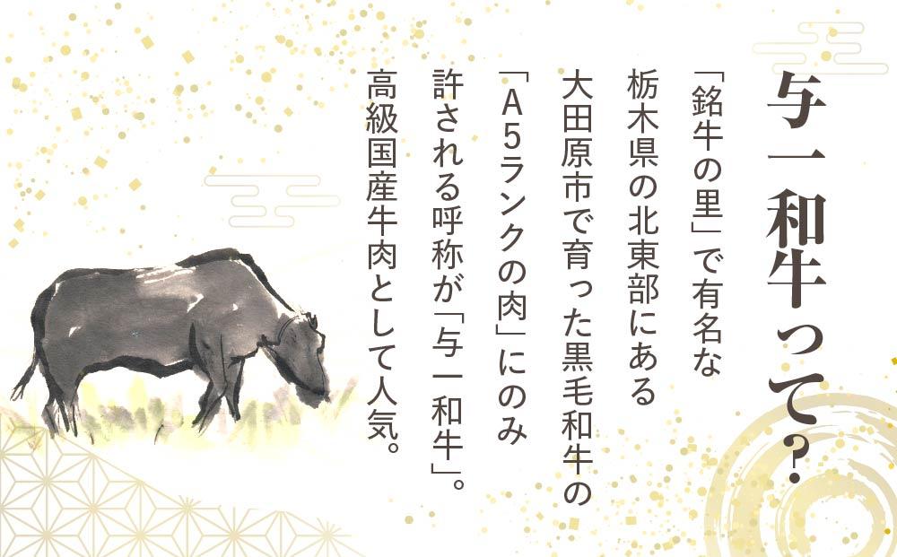 大田原市公式「大田原ブランド」認定第７号「与一和牛100％生ハンバーグ」200ｇ10個入りソース付き