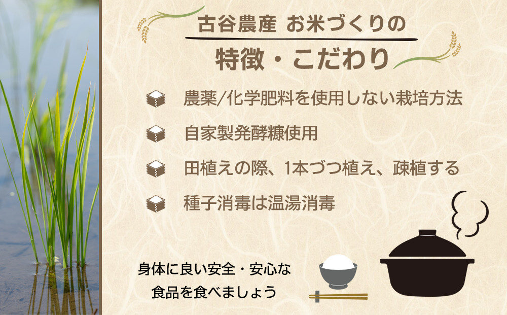 【令和7年産米】古谷農産の無農薬・無化学肥料で栽培したコシヒカリ（精米5キロ） ｜米 コメ  白米 5kg コシヒカリ こしひかり 農家直送 産地直送 産直