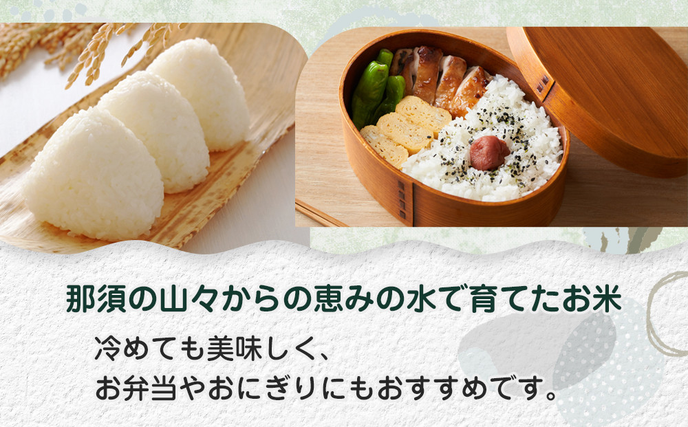 ≪2025年10月中旬以降発送≫ 令和7年産 栃木県大田原市産コシヒカリ「富米」 白米 5キロ ｜米 お米  コメ こしひかり 5kg