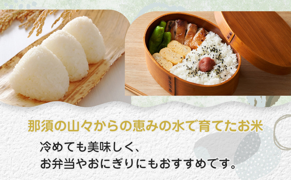 ≪お申込みから2週間以内に発送≫令和7年産 栃木県大田原市産コシヒカリ「富米」 無洗米 10キロ｜米 お米  無洗米 コメ こしひかり 10kg