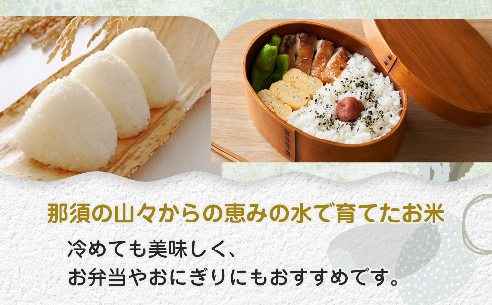 ≪お申込みから2週間以内に発送≫令和7年産 栃木県大田原市産コシヒカリ「富米」 無洗米　5キロ ｜米 お米  無洗米 コメ こしひかり 5kg