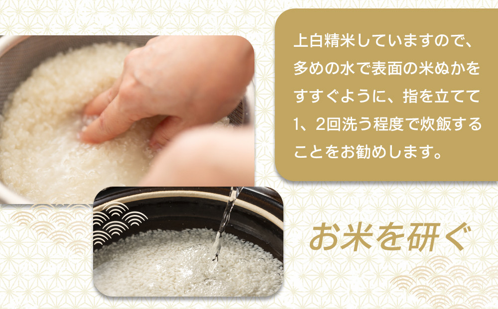 【令和7年産】ツキノワのコシヒカリ 精米 10kg ｜お米 白米 ご飯 コメ 栃木県 大田原市 