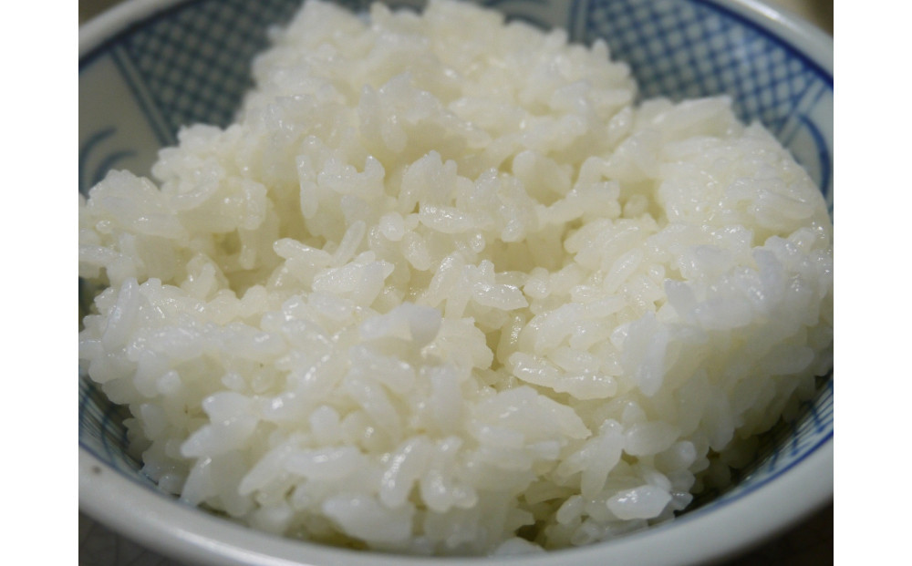 【令和７年産】大田原産コシヒカリ　精米５ｋｇ