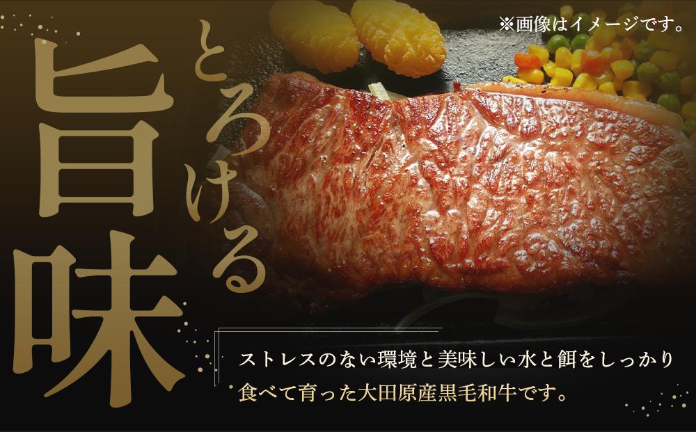 大田原産 黒毛和牛 サーロイン ステーキ　約300g×3枚