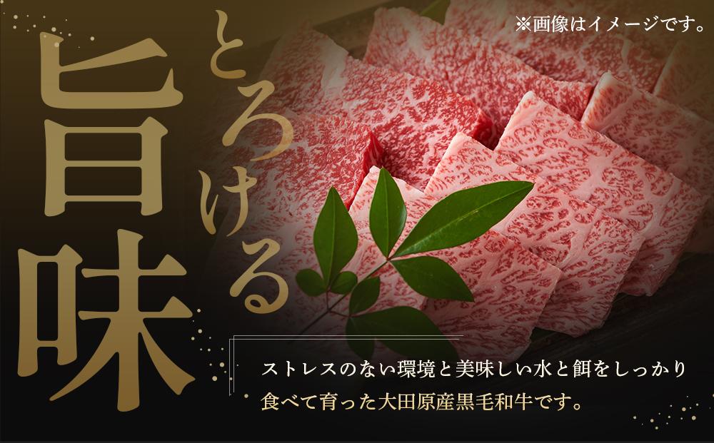 大田原産 黒毛和牛 極旨カルビ 焼肉用　500g×3
