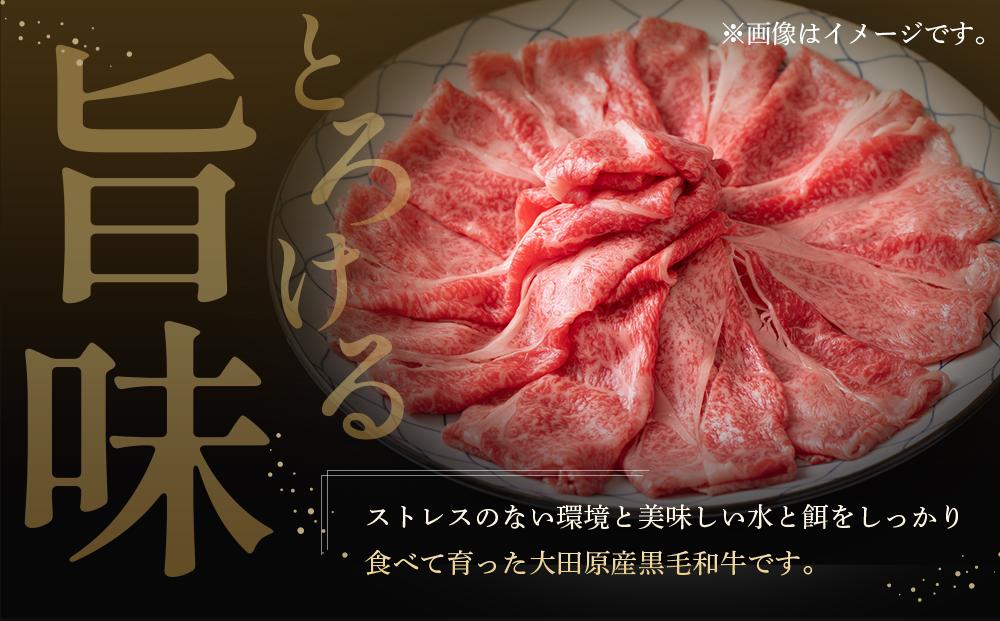 大田原産 黒毛和牛 肩 すき焼き・しゃぶしゃぶ用　500g×2