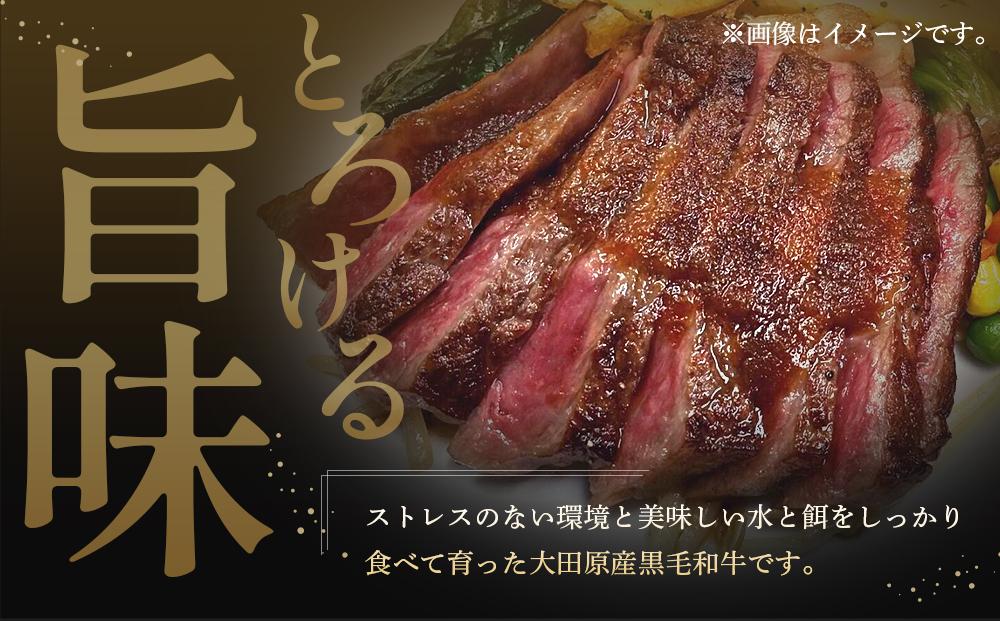 大田原産 黒毛和牛 モモ 熟成肉　約700g～1kg