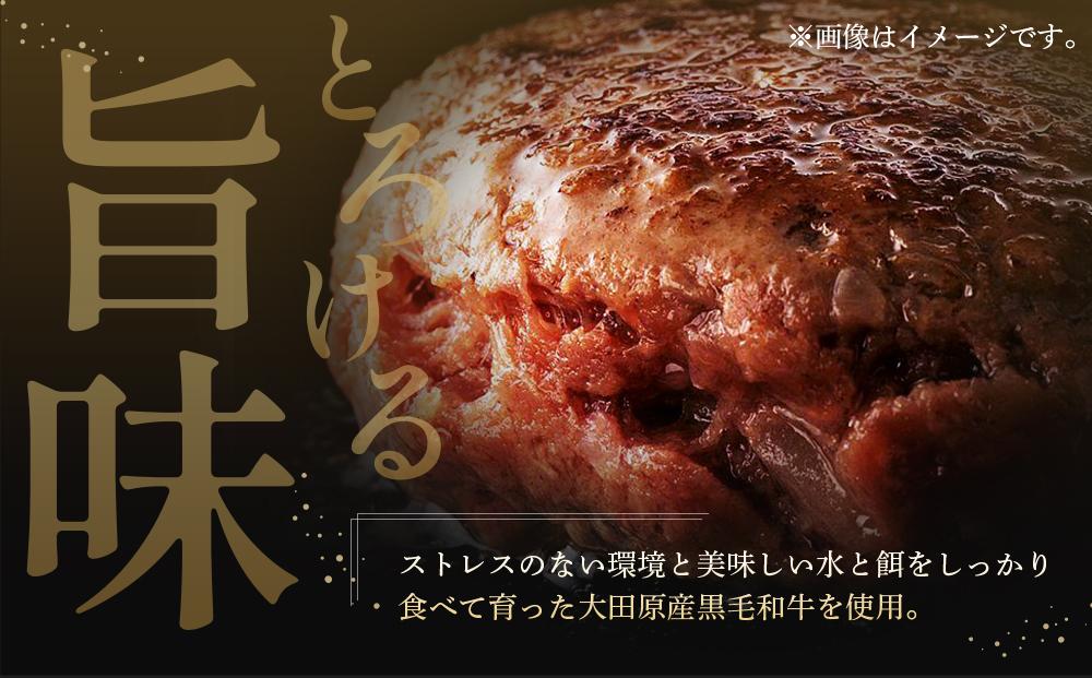 ソースのいらない究極の大田原産黒毛和牛 ハンバーグ | 黒毛和牛 熟成 高級 和牛 ハンバーグ