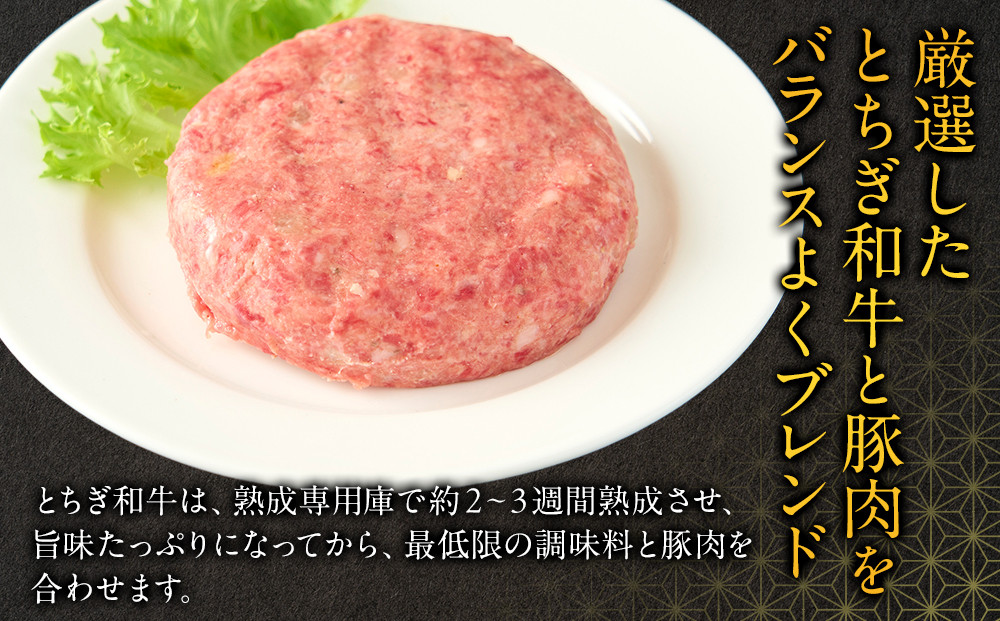 とちぎ和牛入り ハンバーグセット ｜ 牛肉 和牛  肉 ブランド牛 合挽 ハンバーグ 栃木県共通返礼品