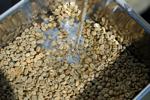 wabisuke自家水洗焙煎珈琲（豆） ブレンド×３