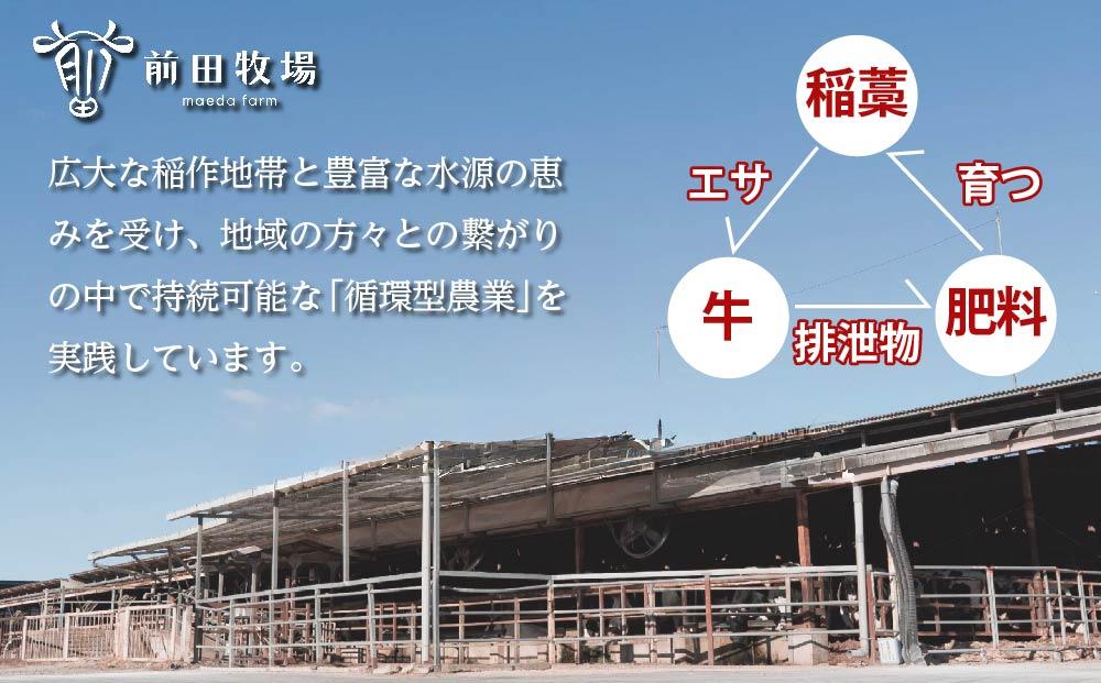 【大田原 前田牧場直送】骨付きステーキ 約800g 前後 | ブランド牛 牛肉 Lボーン Tボーン ステーキ 産地直送 産直