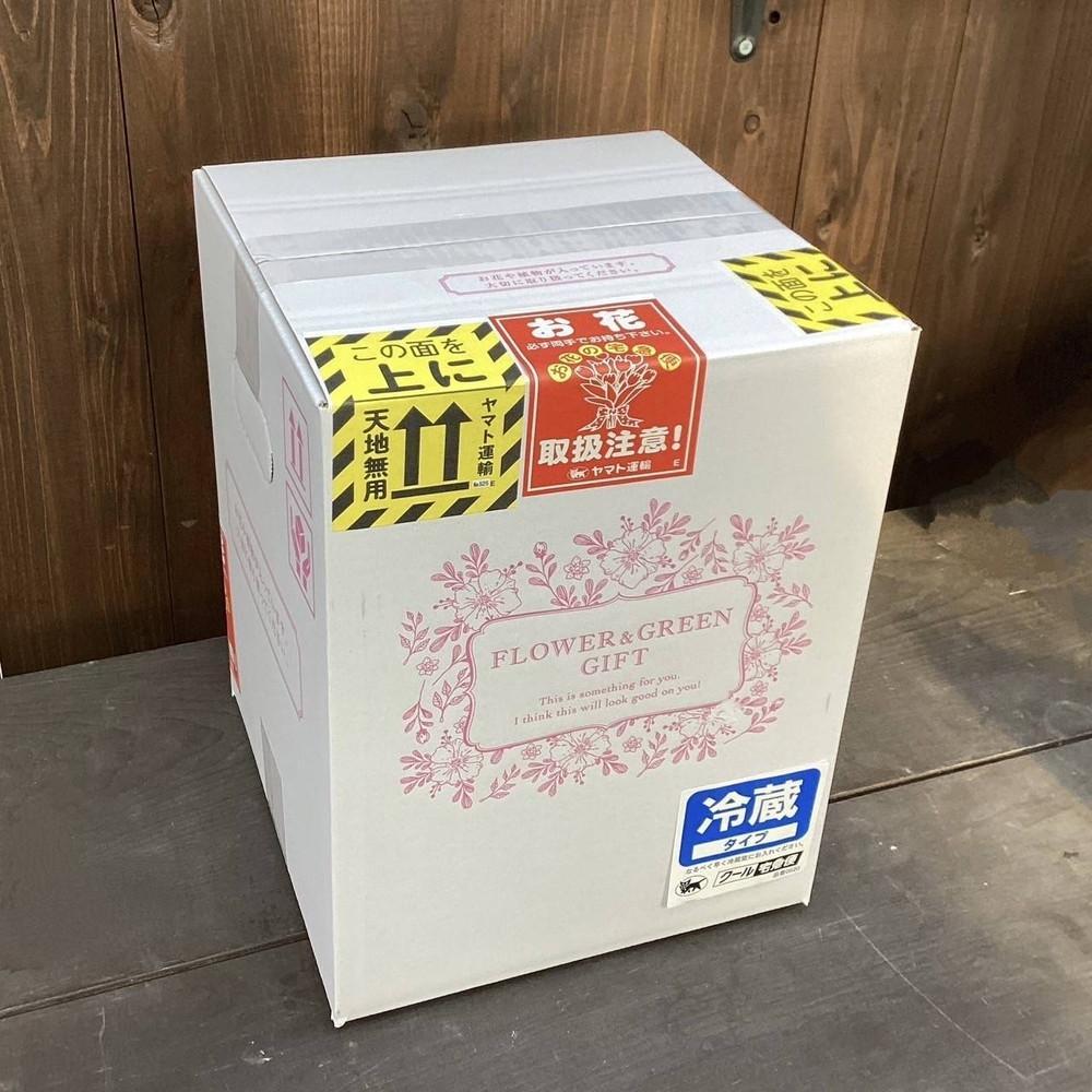 【多肉植物】大きな寄せ植え直径15cm白ポット