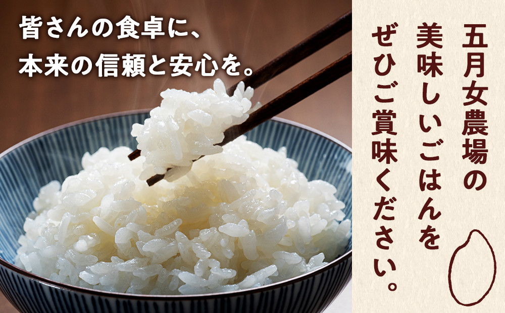 【12か月定期便】農家直送のパックごはん☆五月女農場のごはん（150ｇ×20個）