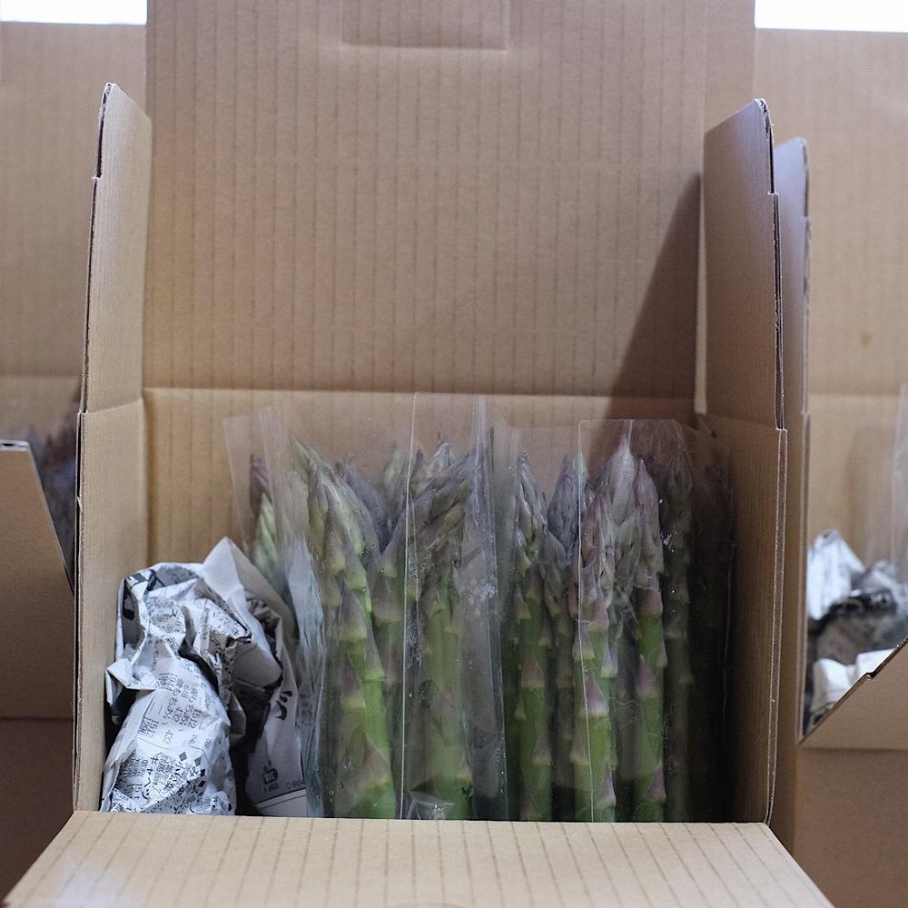 【2025年4月発送】那須の麓の朝採りアスパラガス　並サイズ　2kg