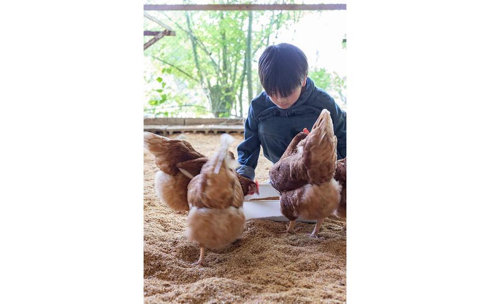 厳選 希少ブランド卵  頂＜itadaki＞ 10個入り | 高級卵 こわだり 限定 玉子 卵 生卵 たまご 卵かけご飯