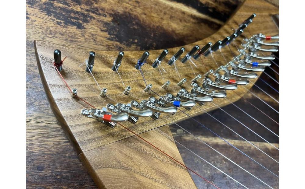 竪琴教室林音　国産材 ハープ 「森の竪琴」　1時間体験レッスンチケット（5名様まで） ｜ 音楽 利用券 体験 教室 