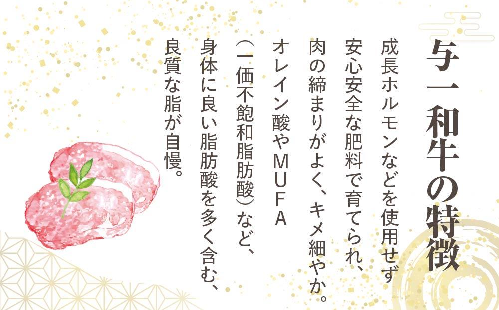 大田原市公式「大田原ブランド」認定第７号「与一和牛100％生ハンバーグ」200ｇ10個入りソース付き