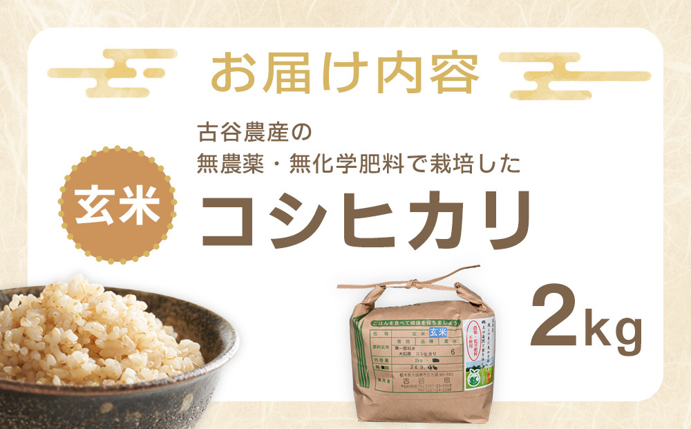 【令和7年産米 数量限定】古谷農産の無農薬・無化学肥料で栽培したコシヒカリ（玄米2キロ） ｜米 コメ  2kgコシヒカリ こしひかり 農家直送 産地直送 産直
