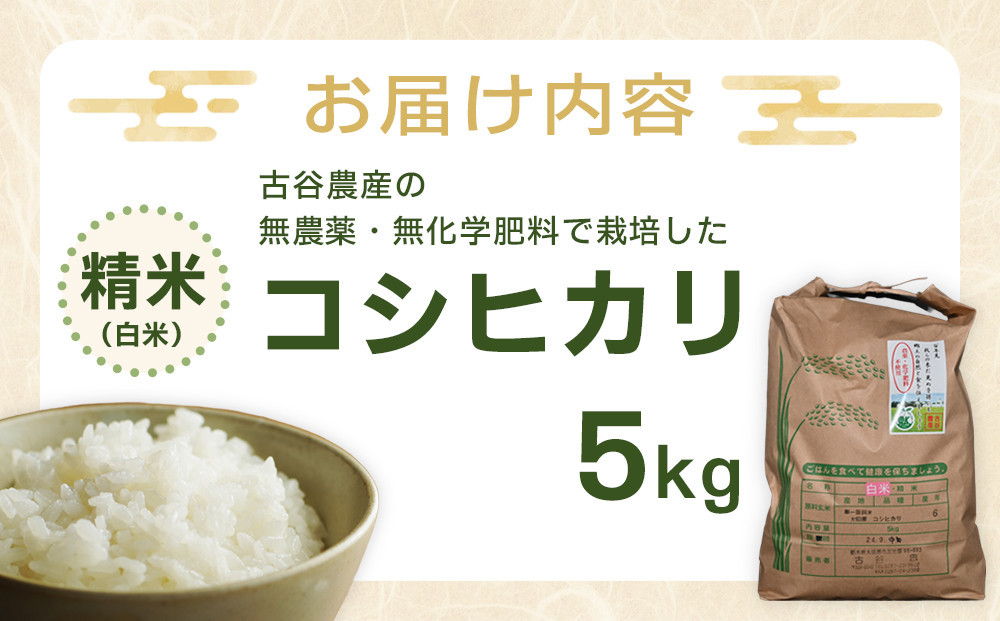 【令和6年産米】古谷農産の無農薬・無化学肥料で栽培したコシヒカリ（精米5キロ） ｜米 コメ 訳あり 白米 5kg コシヒカリ こしひかり 農家直送 産地直送 産直