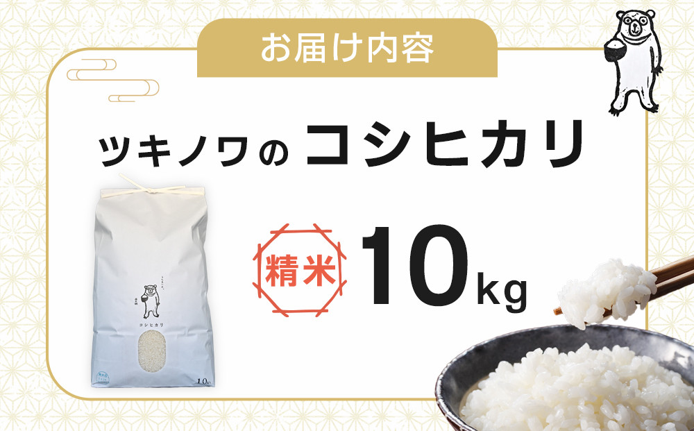 【令和7年産】ツキノワのコシヒカリ 精米 10kg ｜お米 白米 ご飯 コメ 栃木県 大田原市 