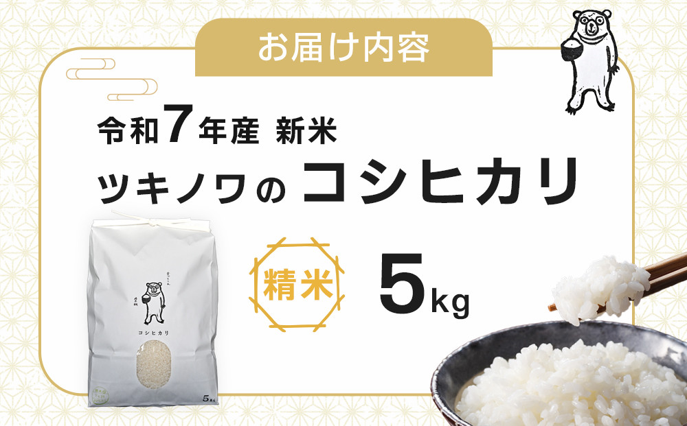 【令和7年産  】ツキノワのコシヒカリ 精米 5kg ｜お米 白米 ご飯 コメ 栃木県 大田原市