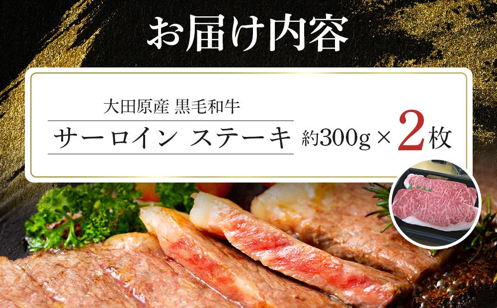 大田原産 黒毛和牛 サーロイン ステーキ　約300g×2枚