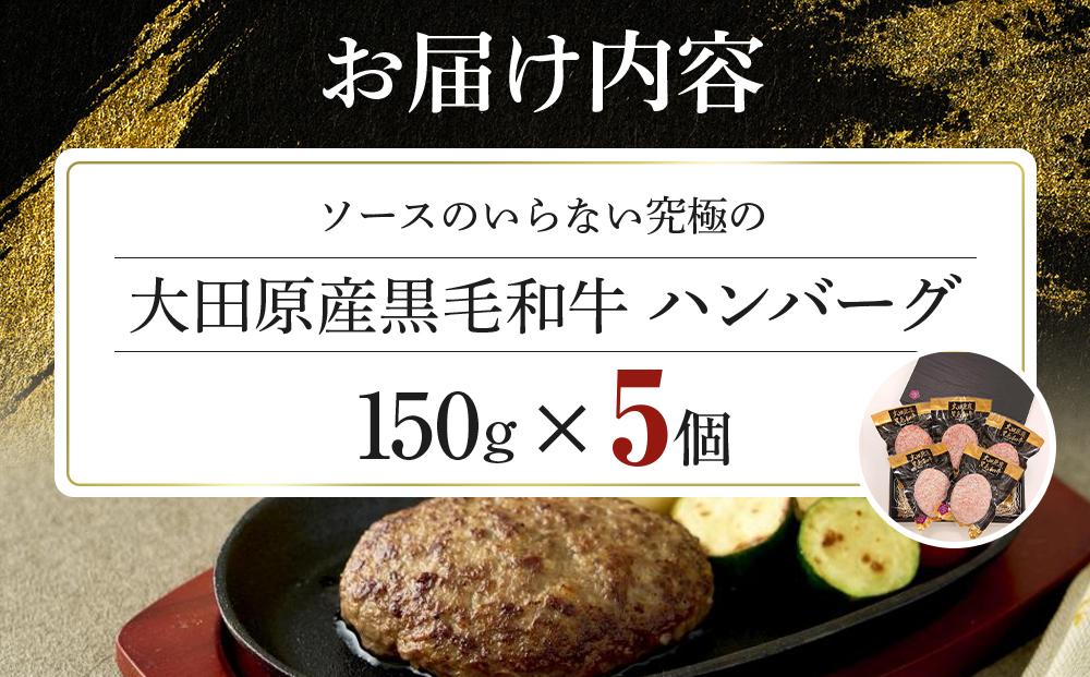 ソースのいらない究極の大田原産黒毛和牛 ハンバーグ | 黒毛和牛 熟成 高級 和牛 ハンバーグ