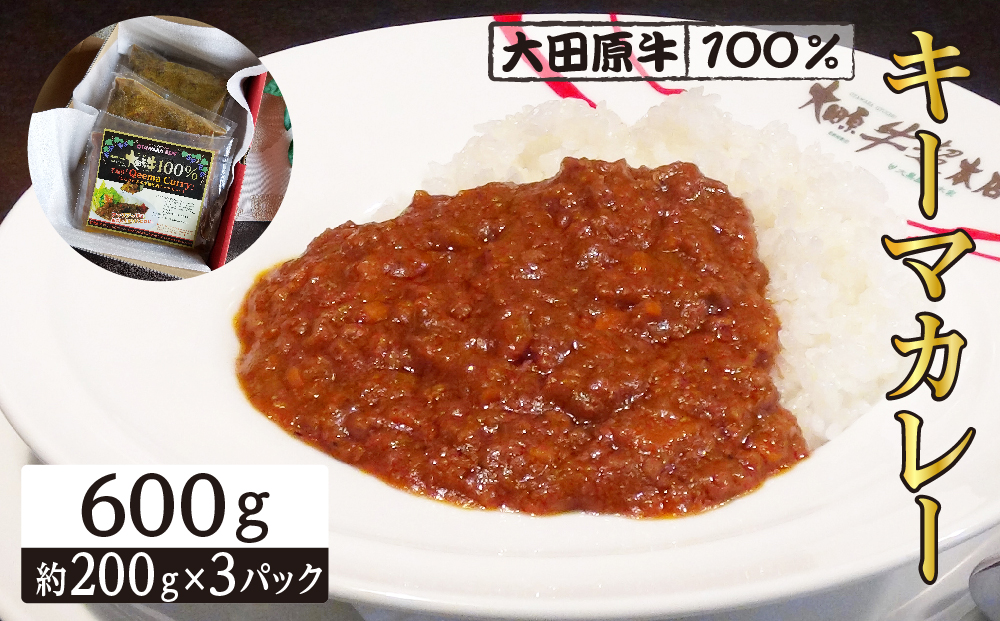 大田原牛 100％ キーマカレー 3パックセット | レトルト カレー 和牛  牛肉  高級 