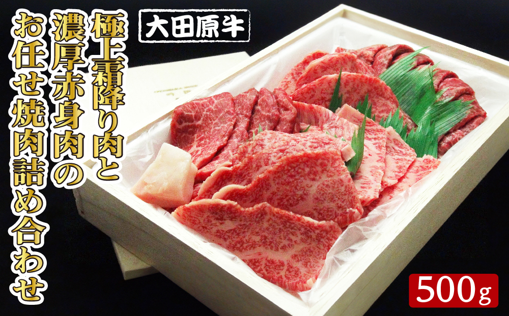 大田原牛 極上 霜降り肉と濃厚赤身肉のお任せ 焼肉 詰め合わせ（500g）| ブランド牛 和牛 牛肉 霜降り 赤身 食べ比べ 高級