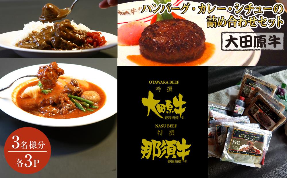 【3名様分】 大田原牛 ハンバーグ・カレー・シチューの詰め合わせセット | ブランド牛 和牛 牛肉  高級 ハンバーグ カレーライス ビーフシチュー