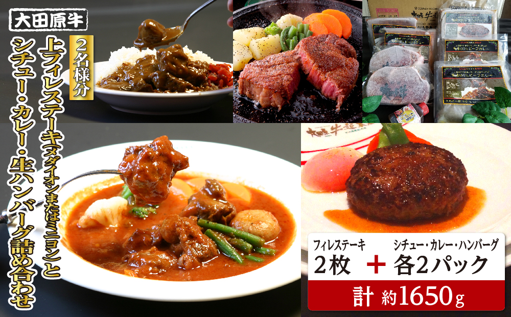 【2名様分】 大田原牛 上フィレ ステーキ 2枚（メダイオンまたはミニヨン）とシチュー・カレー・生ハンバーグ各2パックの詰め合わせ | ブランド牛 和牛 牛肉  高級 ヒレ ステーキ ハンバーグ カレーライス ビーフシチュー