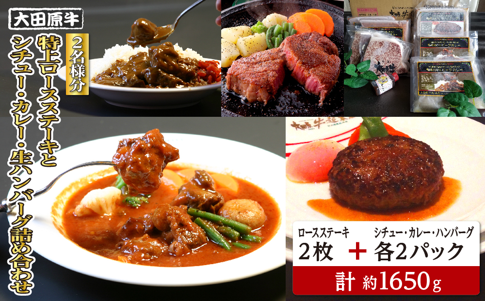 【2名様分】 大田原牛 特上ロース ステーキ 2枚とシチュー・カレー・生ハンバーグ各2パックの詰め合わせ | ブランド牛 和牛 牛肉  高級 ロース ステーキ ハンバーグ カレーライス ビーフシチュー